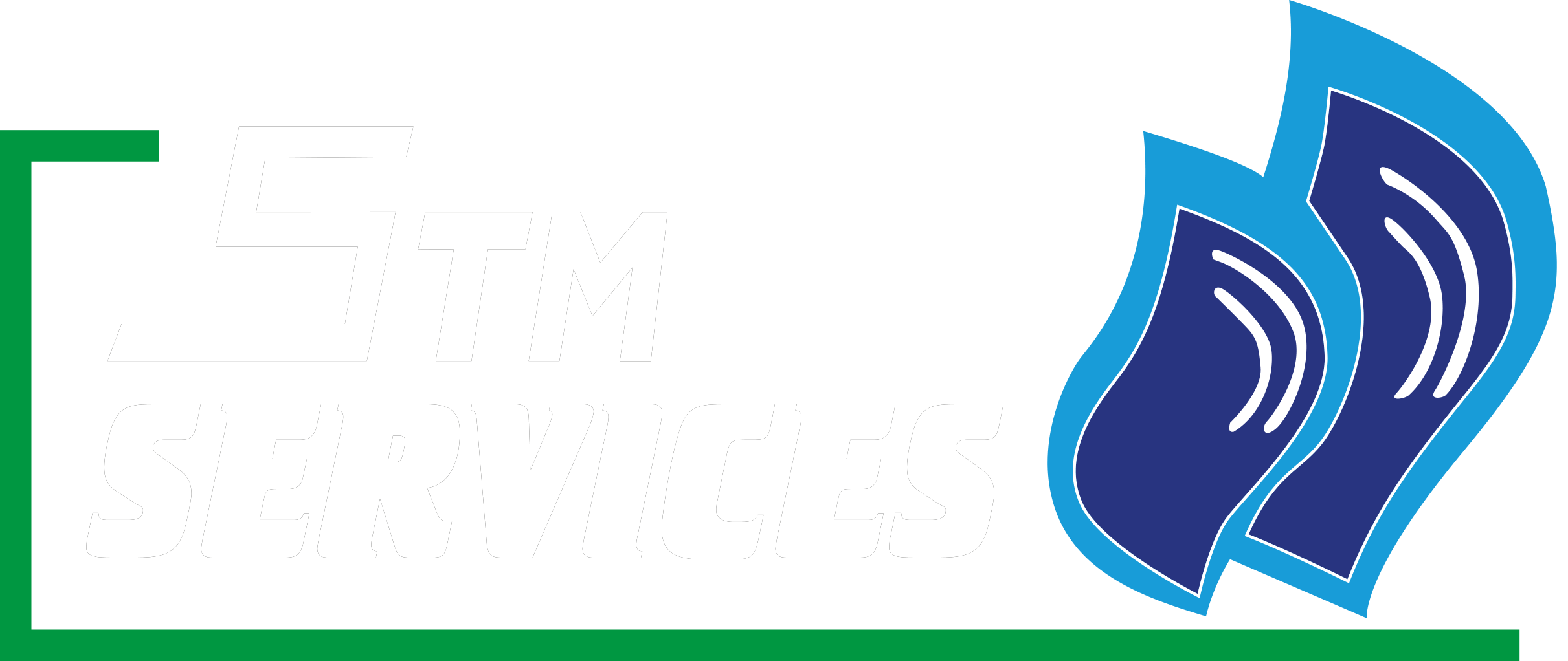 STM Services